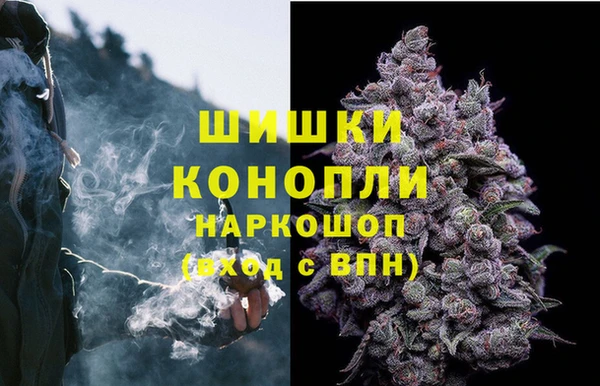 сатива Алзамай
