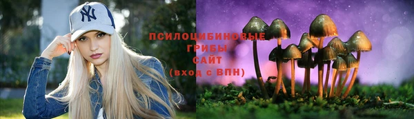 Альфа ПВП Алексеевка