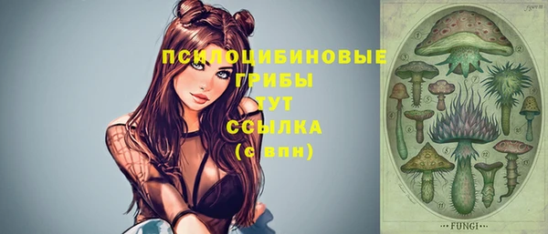 герыч Абаза